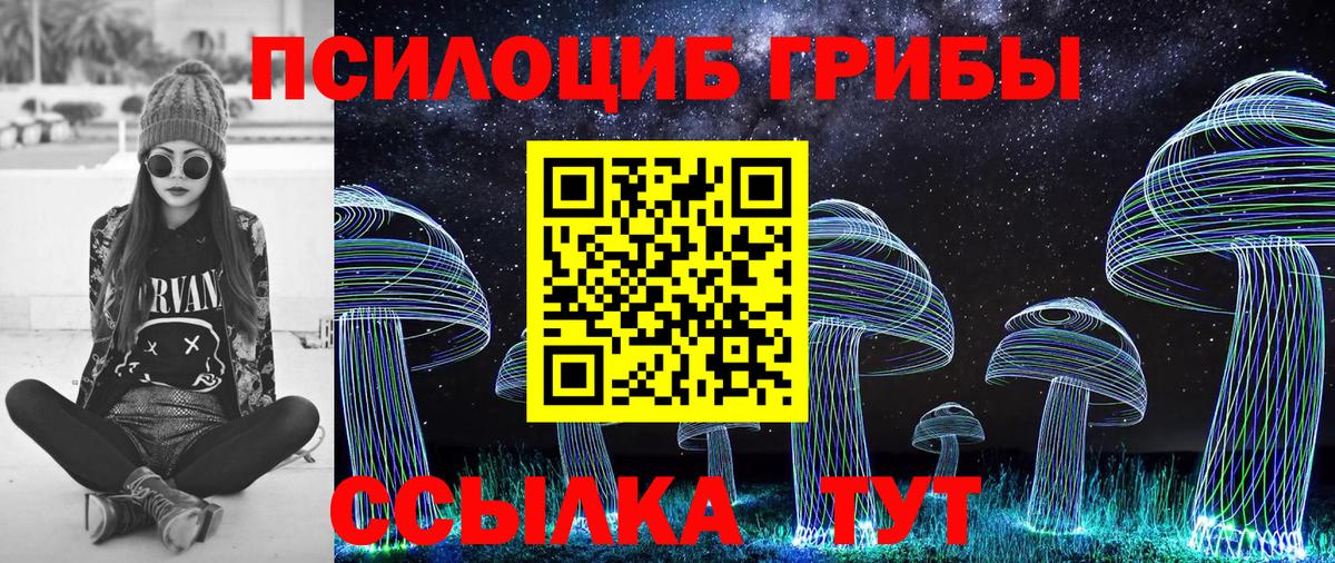 Галлюциногенные грибы Cubensis Чебоксары