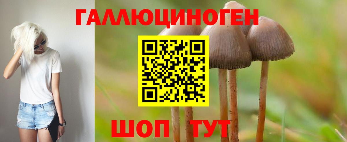 Псилоцибиновые грибы прущие грибы  Вход с VPN  Чебоксары 